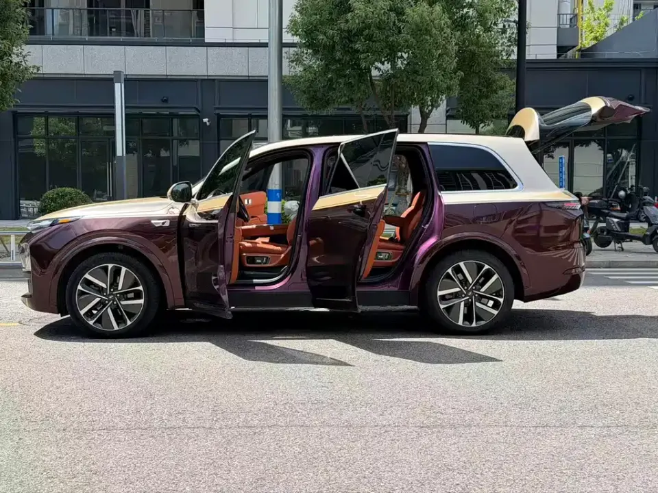 Li Li L9