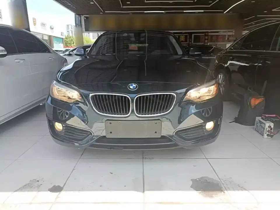 BMW 2 Series (Import)