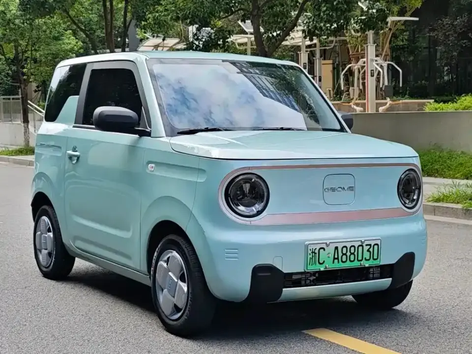 Galaxy Panda
