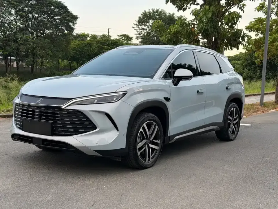 BYD L DM-i