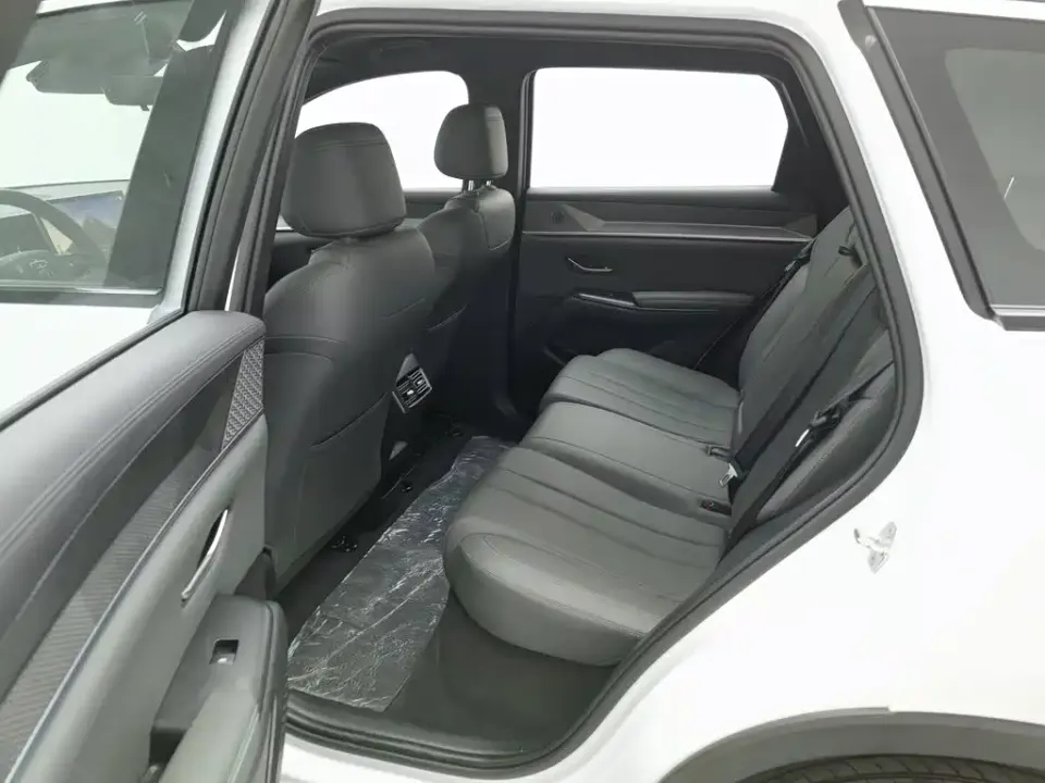 BYD Pro New Energy