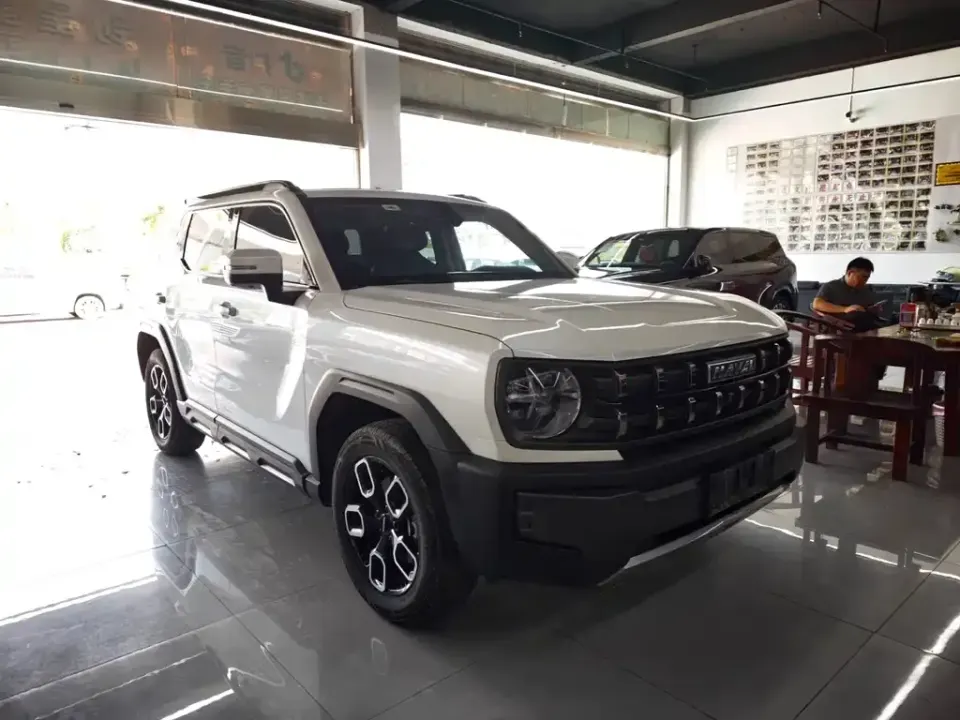 Haval Cool Dog
