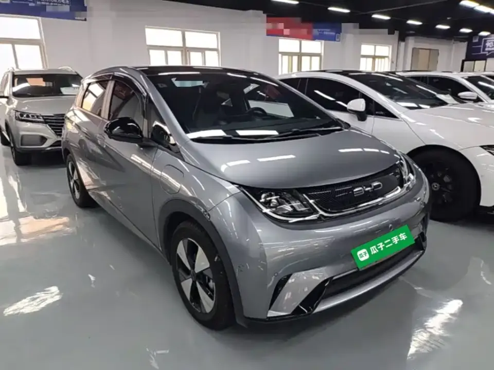 BYD Dolphin