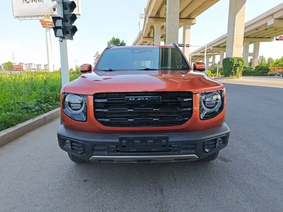 Haval Big Dog