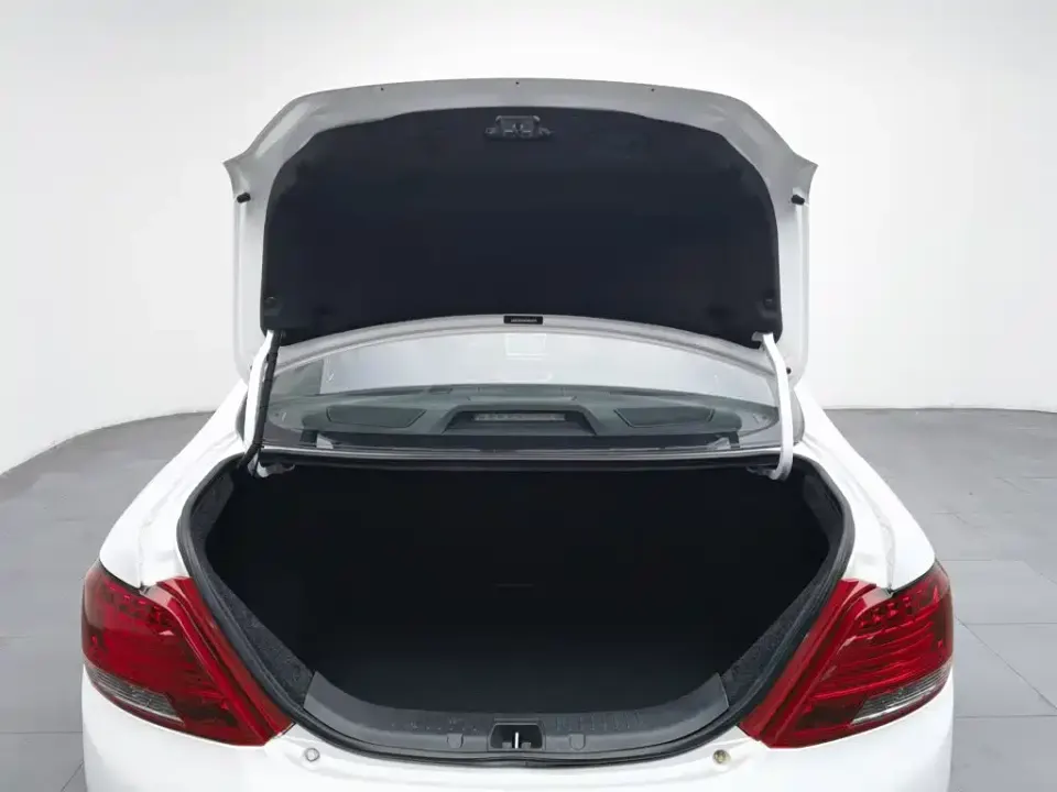 BYD Surui