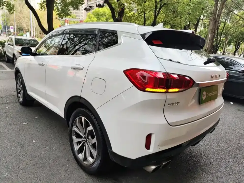 WEY Wey VV6
