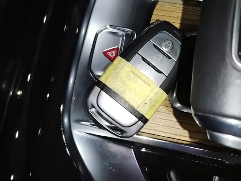Hongqi Hongqi E-HS9
