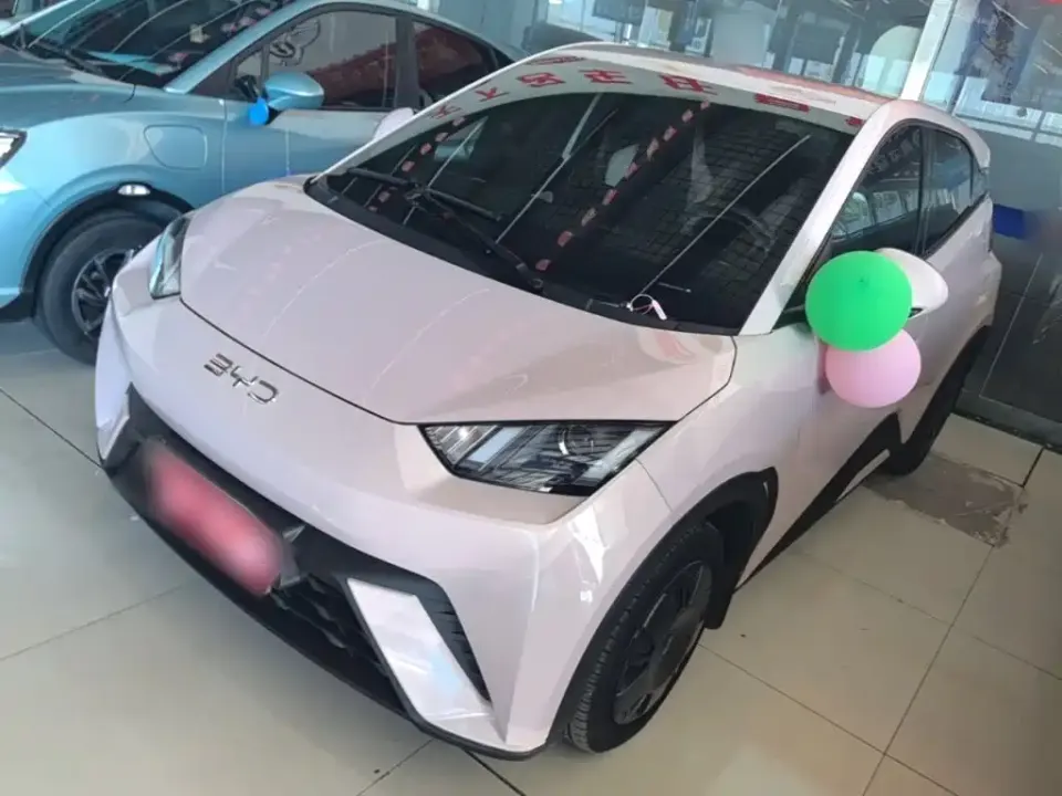 BYD Seagull