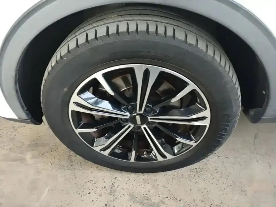 WEY Wey VV6