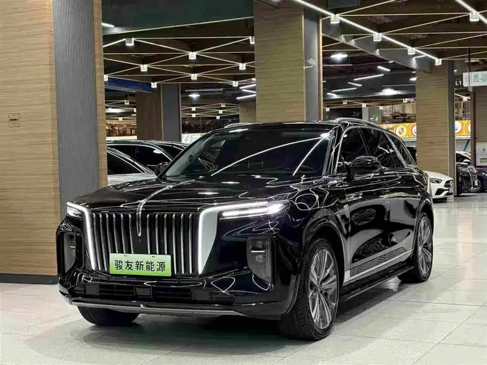 Hongqi Hongqi E-HS9