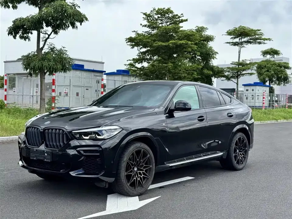 BMW X6