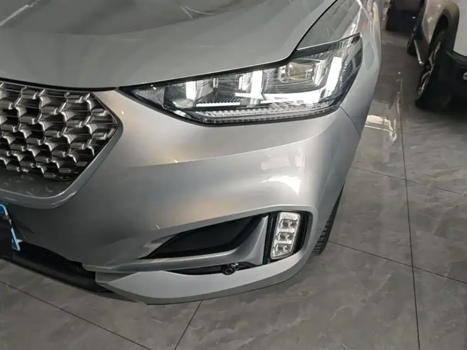 WEY Wey VV6