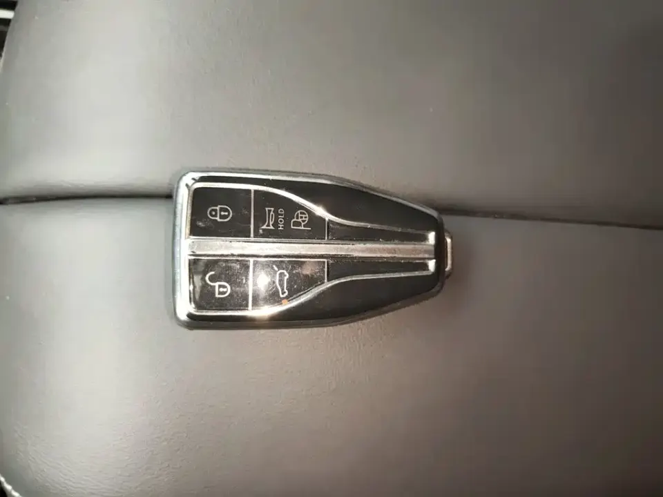 Hongqi Hongqi HS7