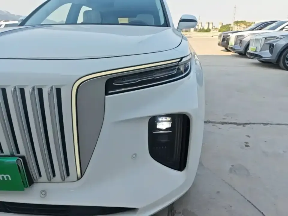 Hongqi Hongqi E-HS9