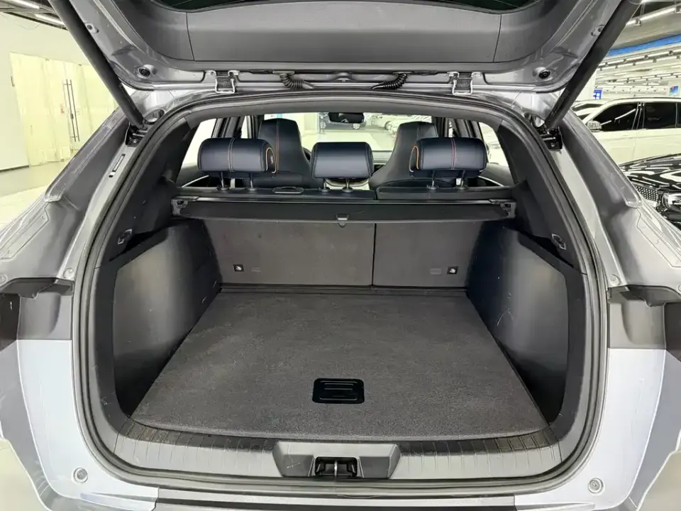 BYD PLUS New Energy
