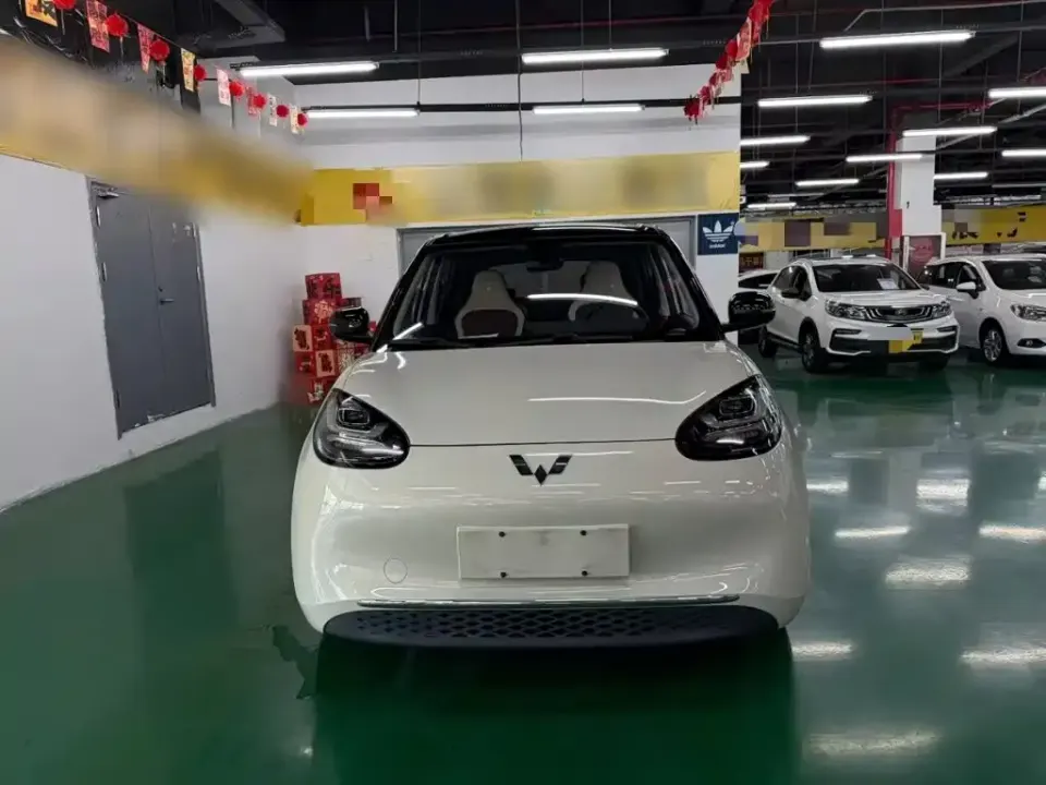 Wuling Bingo