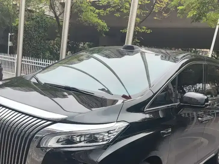 WEY Wey Gaoshan New Energy