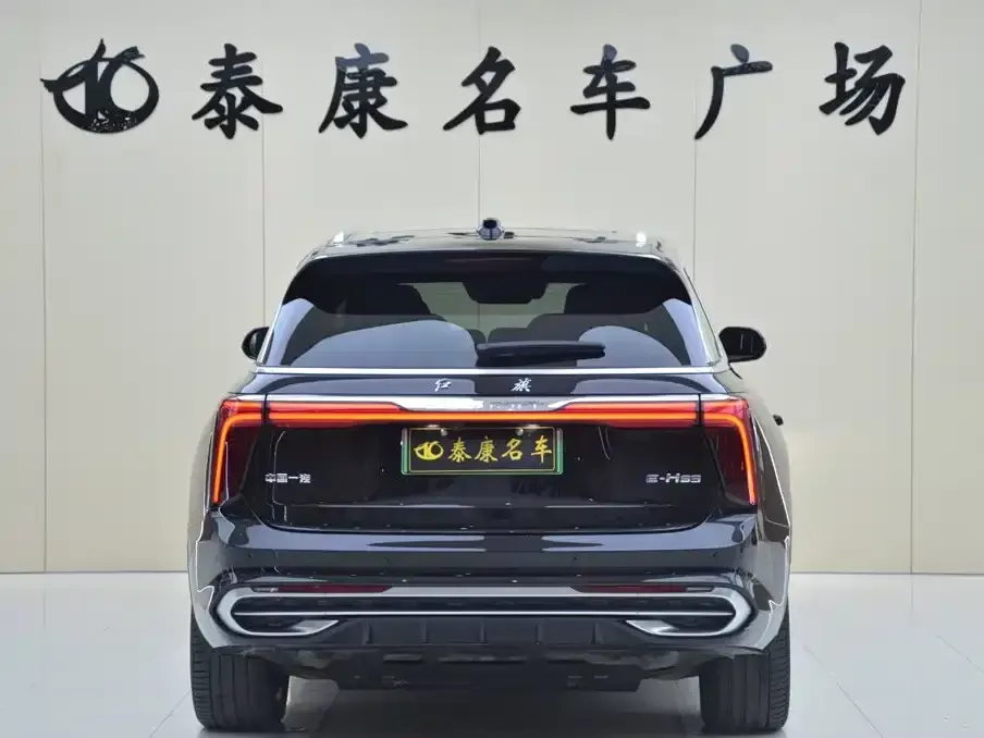 Hongqi Hongqi E-HS9