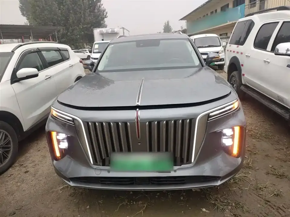 Hongqi Hongqi E-HS9