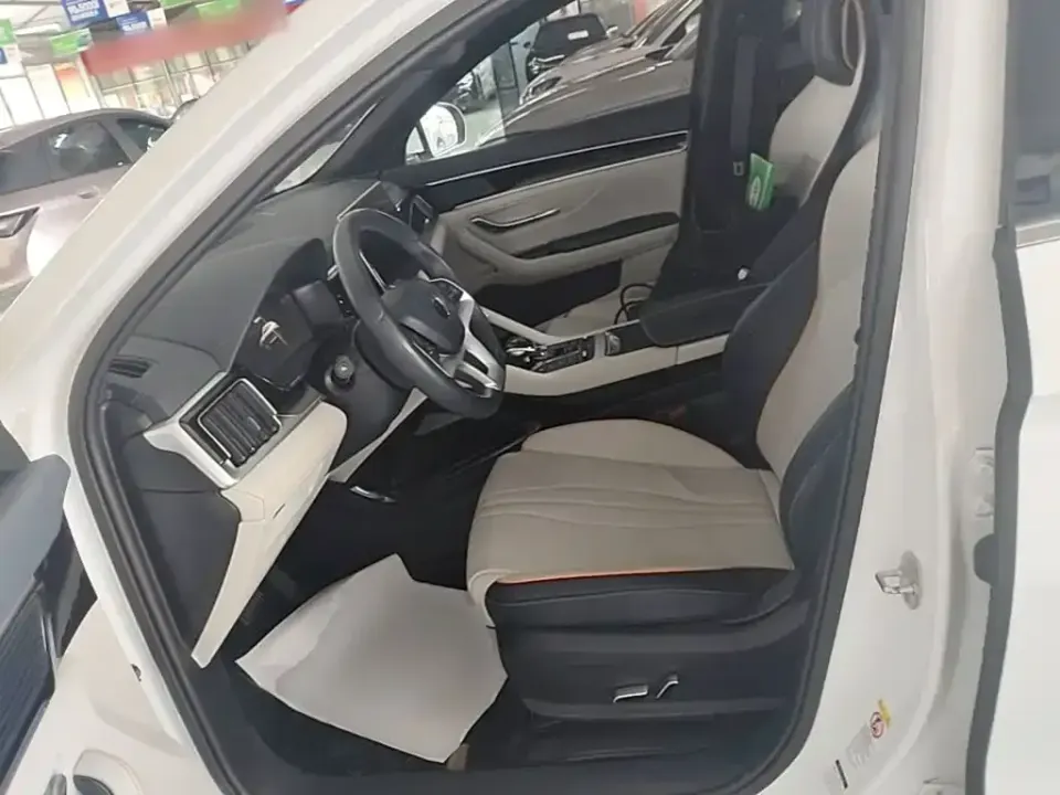 BYD PLUS New Energy