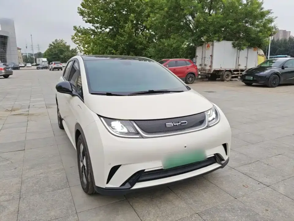 BYD Dolphin