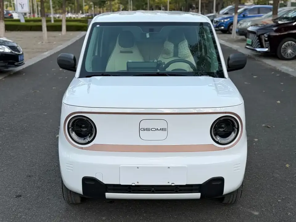 Galaxy Panda