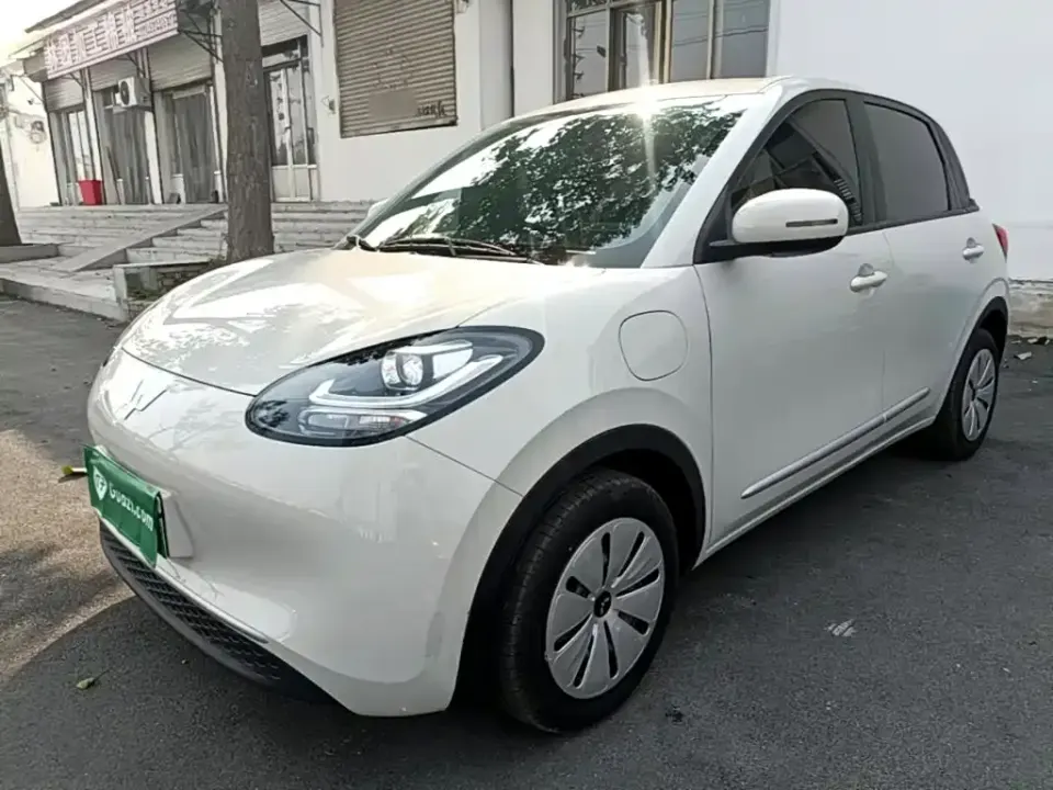 Wuling Bingo
