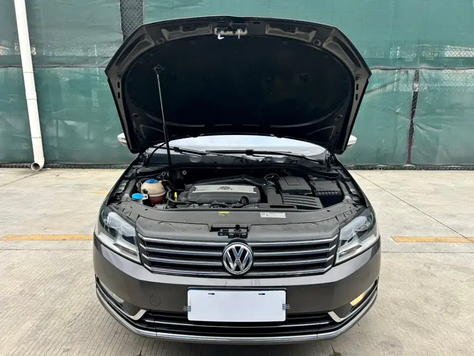 Volkswagen Magotan (Import)