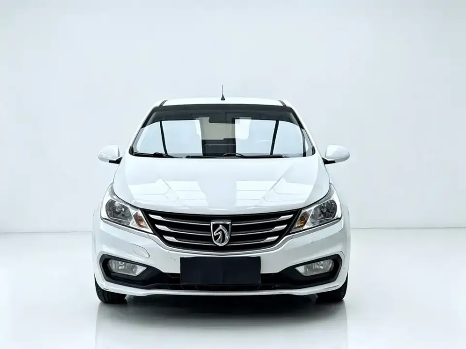 Baojun 310