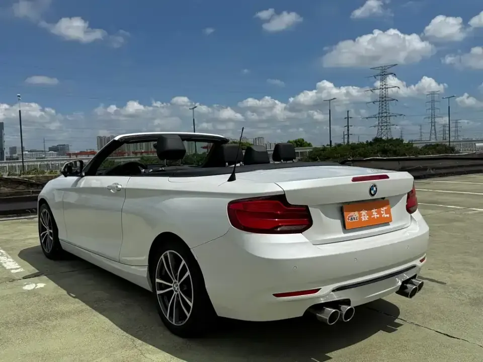 BMW 2 Series (Import)