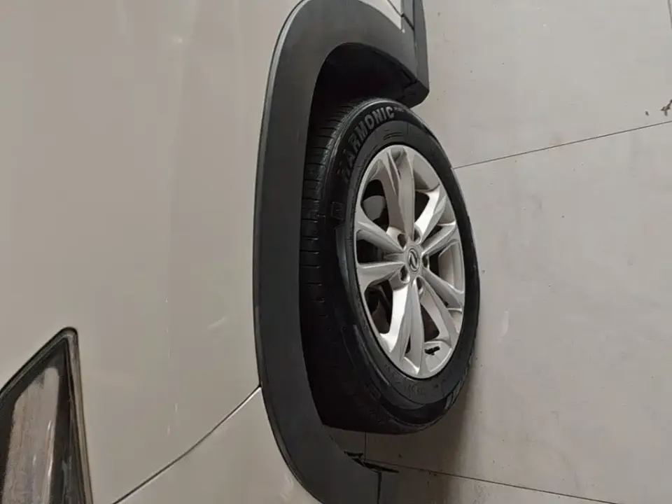 Fengguang Fengguang S560