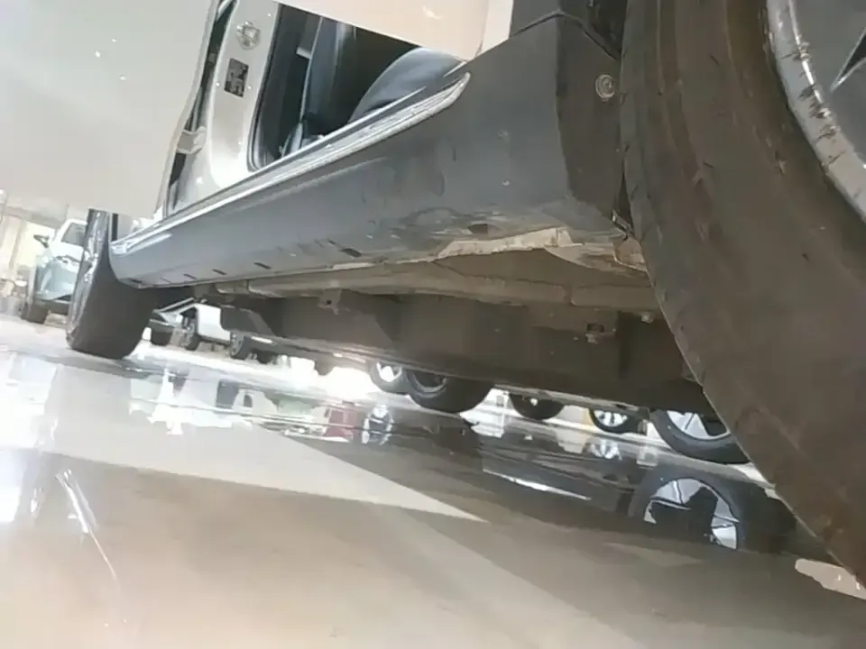 Neta Neta V