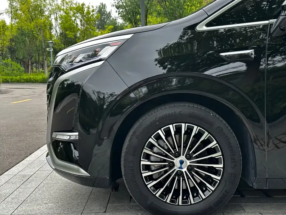 Denza Denza D9
