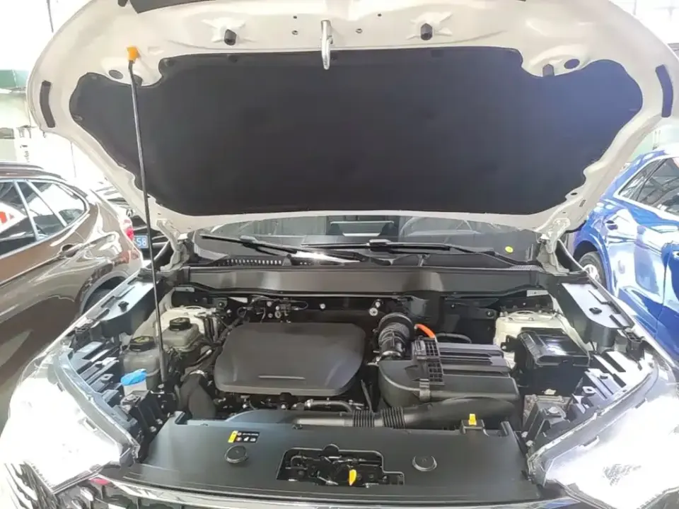 Haval H6 New Energy