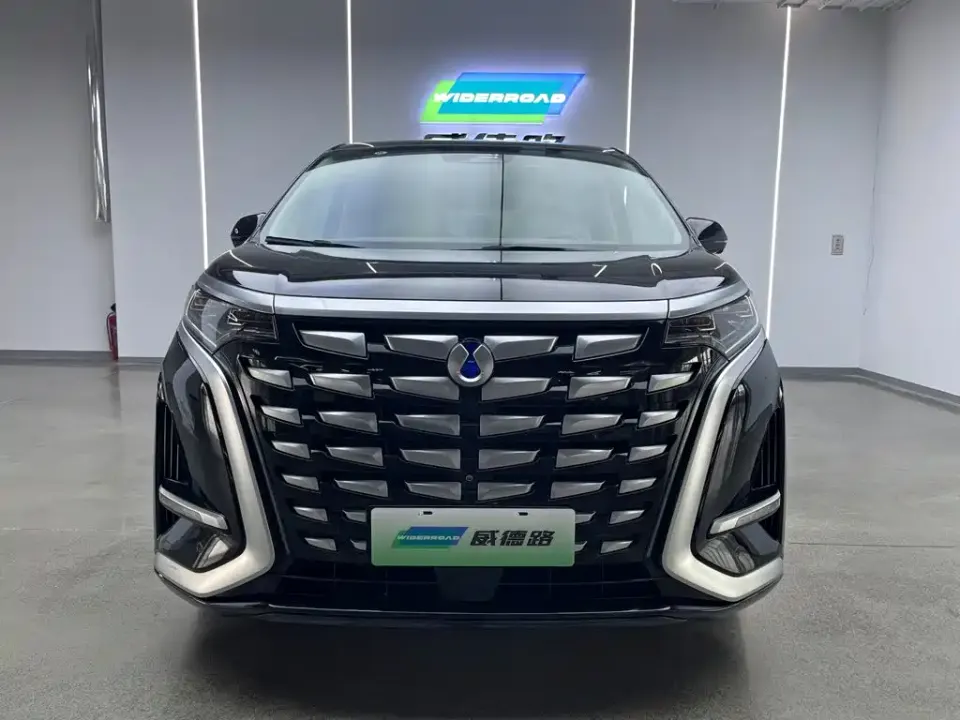 Denza Denza D9
