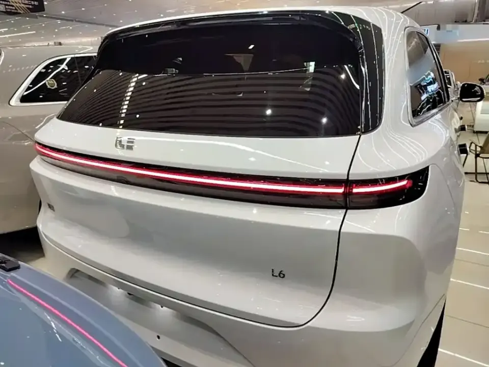 Li Li L6