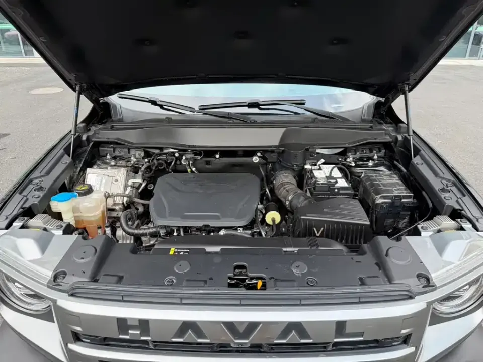 Haval Big Dog