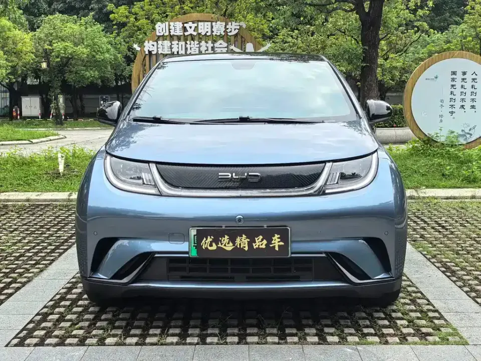 BYD Dolphin
