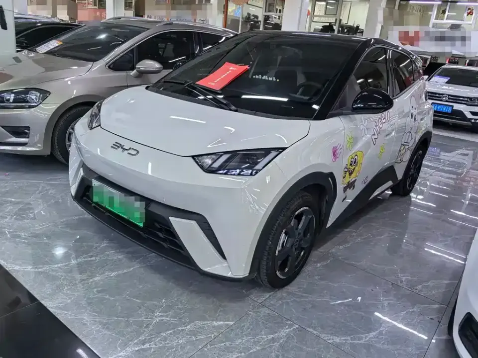 BYD Seagull