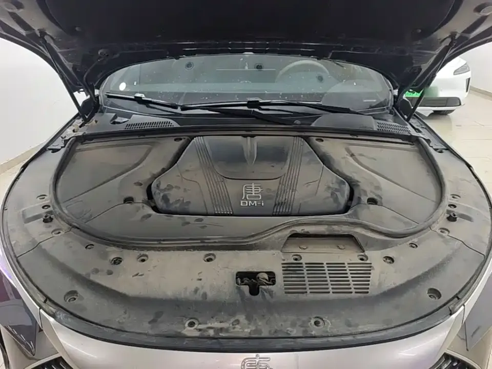BYD Tang New Energy