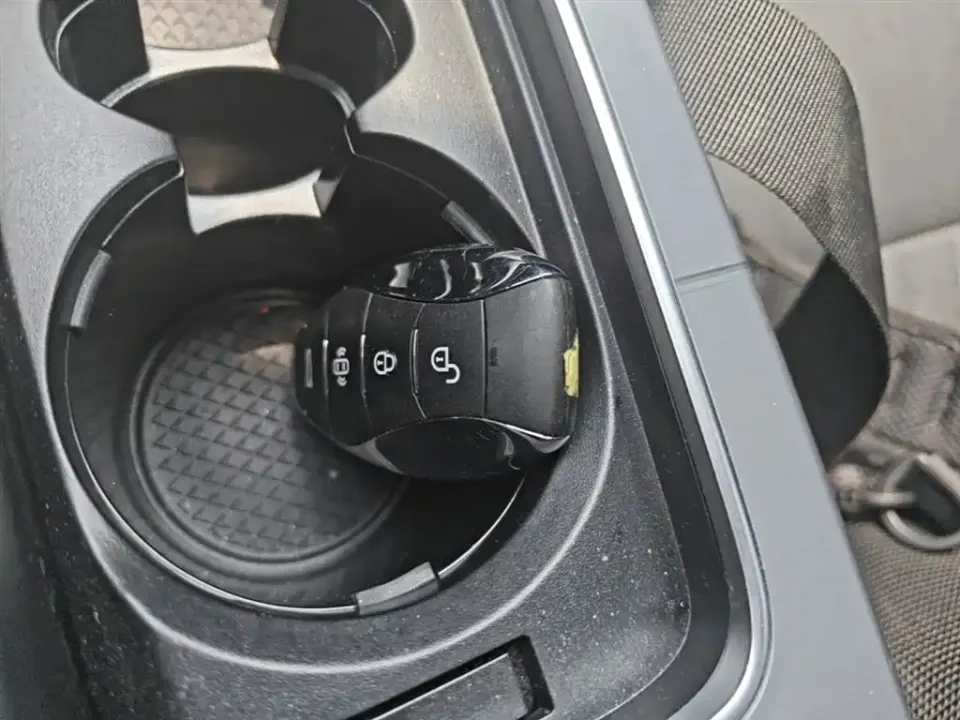 Hongqi Hongqi HS7 PHEV