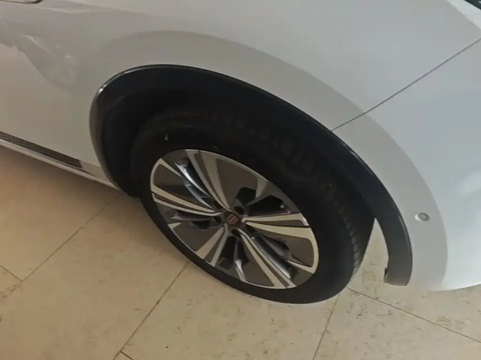 Hongqi Hongqi E-HS9