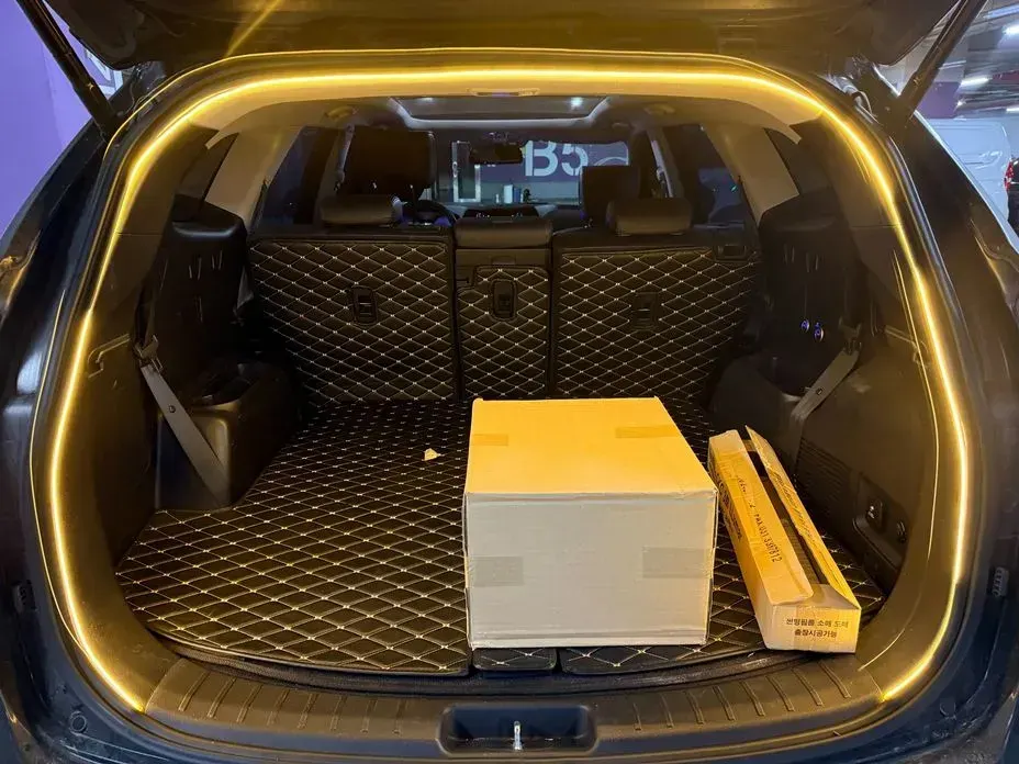 Hyundai Maxcruz