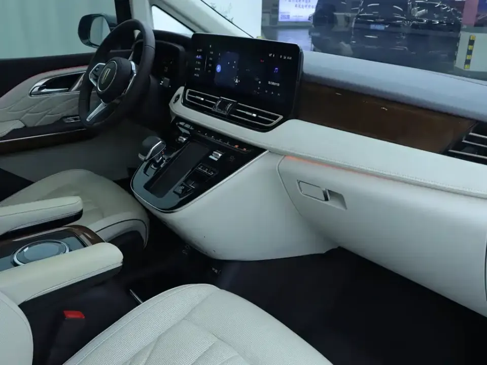 Hongqi Hongqi HQ9