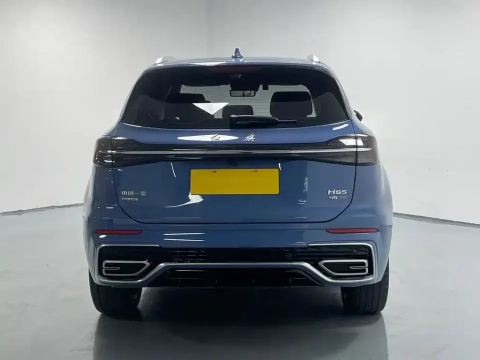 Hongqi Hongqi HS5