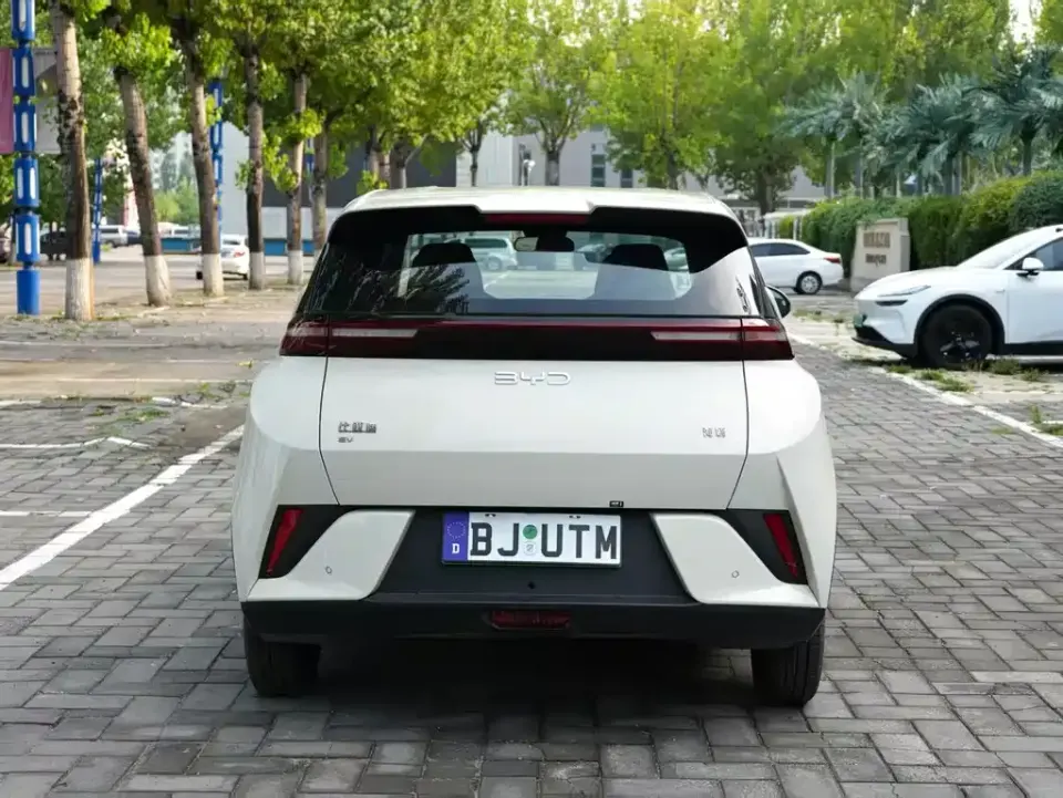 BYD Seagull