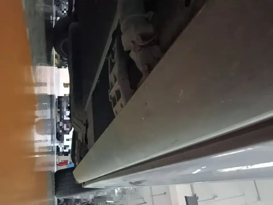 Li Li L9