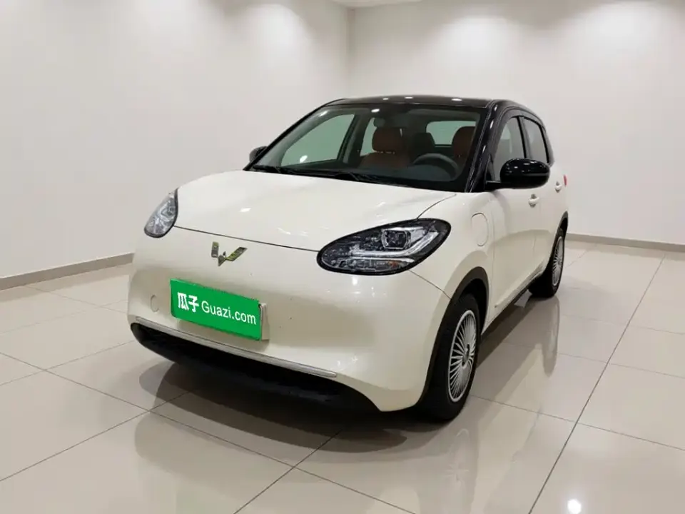 Wuling Bingo