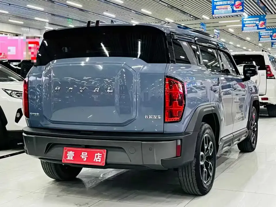 Haval Cool Dog