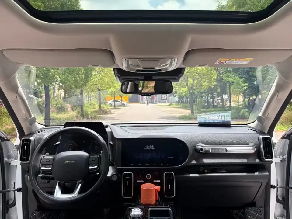 Haval Big Dog